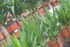 Evergreenplant-nursery-10.jpg; ?>