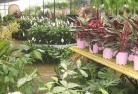 Evergreenplant-nursery-7.jpg; ?>